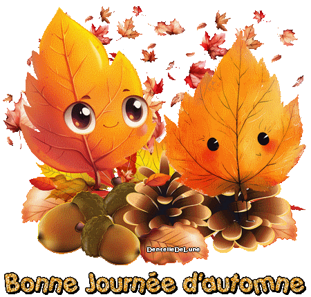 image_0946180_20241027_ob_d52728_gif-anime-bonne-j